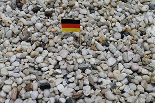 Doubleyou Geovlies & Baustoffe 1kg bis 30 kg Aquariumkies - Made in Germany - Quarzsand -Taunusquarz grau Weiss,8-16 mm (1 kg)