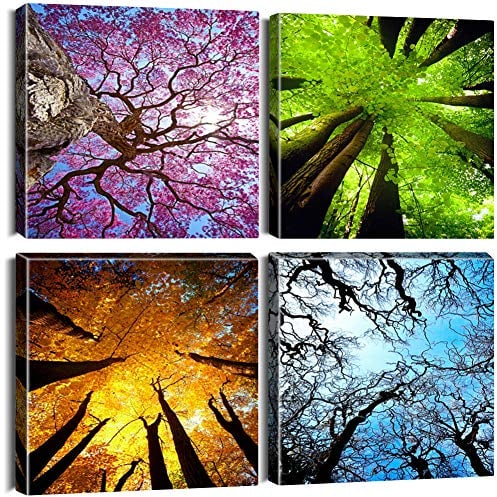 Artscope 4 Teilig Leinwandbilder mit Vier Jahreszeiten des Waldes Motiv Kunstdruck - Moderne Wandbild für Badezimmer Wohnzimmer Wanddekoration - 30 x 30 cm