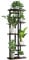 YOCOMEY Hölzern Blumenregal Pflanzenregal 5 Tier 6 Töpfe, Mehrstöckig Blumenständer Pflanzenständer Blumenbank Blumentreppe Pflanzentreppe Standregal für Innen Außen Garten Balkon Deko(Schwarz Eiche)