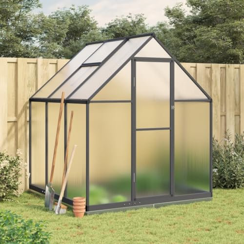 Tidyard Gewächshaus mit Fundamentrahmen Anthrazit 169x169x202 cm Alu