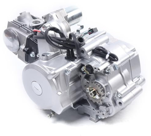 CLEADONG 125cc Motor 4 Takt Motor, Fahrrad Motor, Manuelle Luftgekühlt Motor, für Dirt Bike Pit Bike Motor Engine
