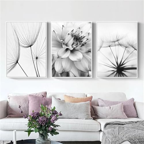 AQCQDQ 3er Poster Set, Löwenzahn Bilder Set, Modern Schwarz Weiß Pusteblume Feder Leinwandbilder Wandbilder Kunstplakat Wanddeko - ohne Rahmen (50x70 cm,B)