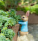 Pot Buddies Beatrix Potter Peter Rabbit Hanging Figure Plant Pot Hanger - Handmade Garden Ornament - Decorative Flower Planter Figurine
