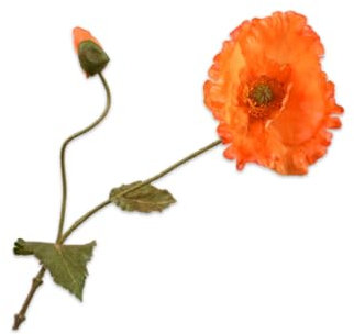 Silk-ka Künstliche Blume – Seidenblume, Mohn, Orange, 67 cm, Sonderangebot pro 2 Stück