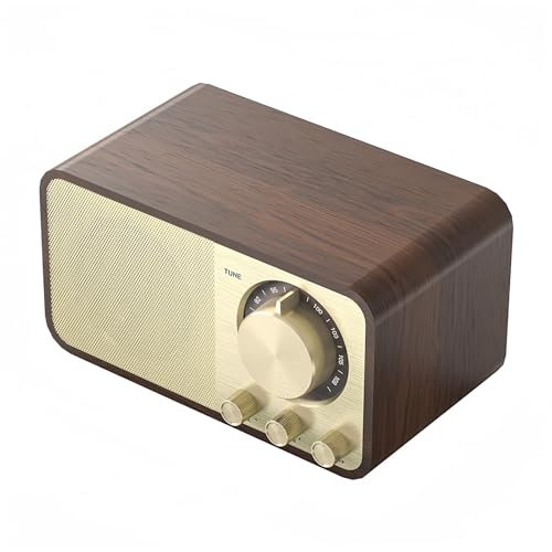 Radio Vintage, radio portátil, radio Bluetooth, radio con AUX/USB, radio con Bluetooth, altavoz de 5 vatios, ranura para tarjeta TF, radio para cocina, dormitorio, oficina