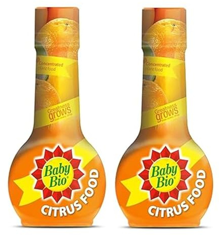 Baby Bio Citrus Food Concentrated Plant Feed, Liquid Plant Nutrition for Citrus Plants, Orange & Lemon Trees, Indoor & Greenhouse Use, 175ml (Pack of 2)