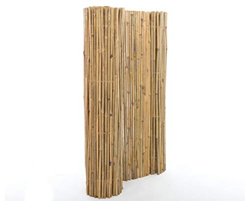 bambus-discount.com Bambusmatte B-Ware mit 180x300cm, stabil mit Mägel - große Sichtschutzzäune Sichtschutzwand Gartensichtschutz Balkonsichtschutz Winschutz Sichtschutzwand