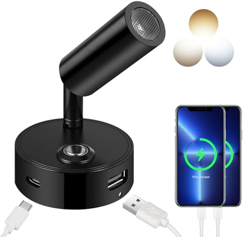 ERWEY 12V LED Leselampe Wohnmobil,Bettlampe mit USB A+C-Anschlüssen,Touch Control 3 Farbmodi und Stufenloses Dimmbar, drehbare Wandlampe für Boot Auto Camper Van Yacht, Schwarz