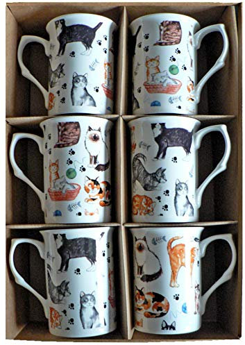 Cat Bone china mugs - set of 6 gift boxed 10oz mugs different cats all round