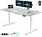 Devoko 160 x 80 Höhenverstellbarer Schreibtisch, Elektrisch Schreibtisch mit Euro-Steckdose und USB Induktions-Ladegerät, Elektrisch Computertisch mit Kabel Management Tray und Funktions-Memory, Grau