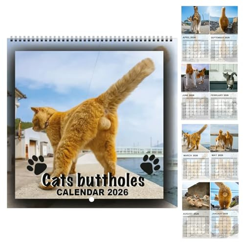 Iouyjiu Kalender 2026 – Katzenbälle, Monatskalender | niedlicher Planer-Organizer und Planungswerkzeug mit lustigen Katzendesigns für Büro, Büro-Kühlschrank D