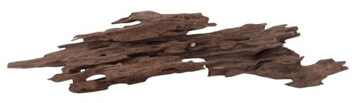 L Honey Comb Wurzel Nr.2991 Aquarium Wurzel Mangrove Holz Deko Aquascaping Dekoration Landschaft Moos Natur Echtholz