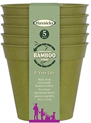 Haxnicks Sustainable Bamboo Fibre Plant Pot in Sage Green, 5 Inch Diameter, 750ml Capacity, Pack of 5, Biodegradable & Home Compostable, POT110101