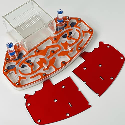 Grande Taille 24 * 18cm Acrylique NID DE Fourmis, Ferme DE Fourmis, Habitat DE Fourmis, FORMICAIRE avec ARÉNA INTÉGRÉ « Plateforme » (Orange)