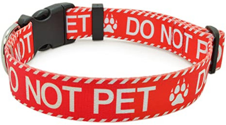 DWOOFG Hundehalsband für Do Not Pet, robust, langlebig, mit Schnalle, rote Hundehalsbänder für kleine, mittelgroße und große Hunde, hochwertiges verstellbares Polyester-Haustierhalsband