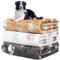 Hundedecke Sofa, waschbar Decke Für Sofa, Hundedecke Flauschig, Fleecedecke Hunde, 3 Pack Weiche Warme Haustier Decken, Mit niedlichem Knochen-Druck,Für eine Vielzahl von Haustieren,106 * 76CM