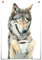 JIUJIUJIU Funny Animals Canvas Poster Coffee Fox Wolf Wall Art Prints Yoga Sloth Artwork For Living Room Office Decor 20 * 30cm Frameless E