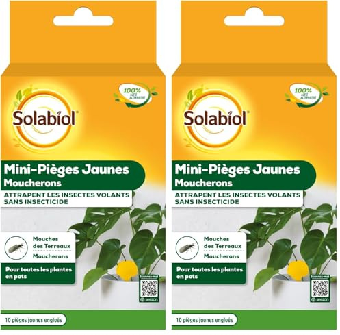 SOLABIOL Mini-Pièges Jaunes Moucherons - Discret - pour Plantes D'Intérieur - 10 Pièges - SOPIFLORN (Lot de 2)