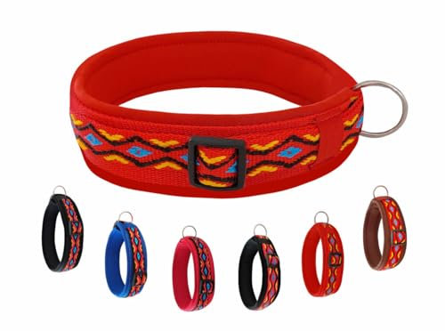 BUDDYPACK | Hundehalsband Extra-Breit und Weich Gepolstert | Für Kleine, Mittlere und Große Hunde | Bunt (Rot-Gelb-Blau-Schwarz, XS/S (35-40 cm))