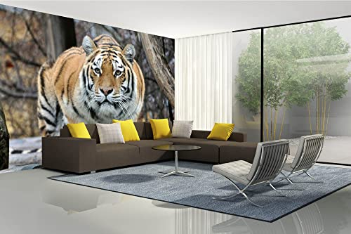 Vlies Fototapete SIBIRISCHER TIGER 375 x 250 cm (inkl. Kleister) - Vlies Tapete, Wandtapete, Wandbilder - Tapete für Wohnzimmer Schlafzimmer, Büro, Küche - Montagefertig