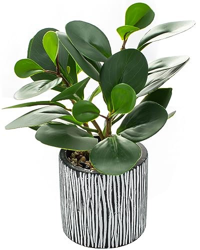 AlphaAcc Piccole piante per la decorazione di mensole Piante artificiali vegetali dall'aspetto reale Pianta finta da interno in vaso con fioriera rustica in argilla nera (ARTGRS230609-2)