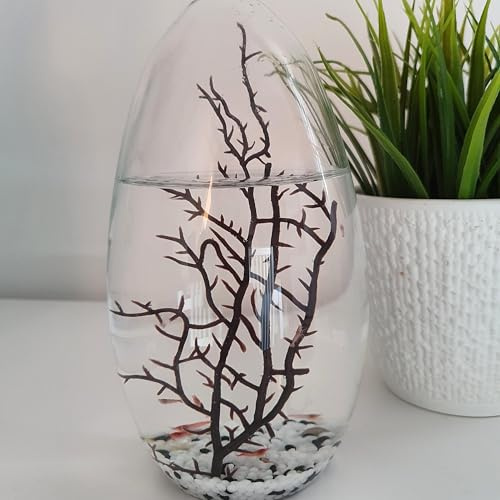 EcoSphere - Aquarium aus der NASA Weltraumforschung - handgefertigtes, geschlossenes Ökosystem mit Garnelen - Made in Germany (19cm Ei)