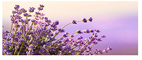Tulup Glas-Bild Wandbild aus Glas - Wandkunst - Wandbild hinter gehärtetem Sicherheitsglas - Dekorative Wand für Küche & Wohnzimmer 125x50 - Blumen & Pflanzen - Lavendel - Lila