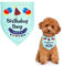 Hunde-Geburtstags-Bandana, Hunde-Bandana für Geburtstage, dreieckiger Schal für Jungen, Hunde, Haustiere, Geburtstagsparty-Zubehör, Happy Birthday-Bandana für kleine, mittelgroße Jungen (blau-grün)