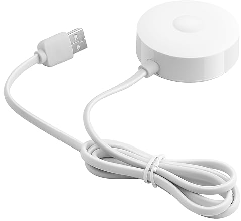 SEYRLMK Elektrische Zahnbürste Ladegerät kann für Oral B iO7 Serie, iO8 Serie, iO9 Serie, USB Schnittstelle Reiseladegerät verwendet Werden