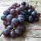 Kyoho grosse blaue Pflaumentraube vitis vinifera 60-100 cm 1-3,5 Liter Topf