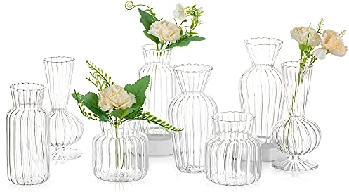 Kleine Vasen Hochzeit Tischdeko Vintage, 8 Teilig Mini Vase Glas Blumenvase Modern Set Hydroponic Glasvase Fuer Blumen Deko Hochzeit Tisch Wohnzimmer Couchtisch Badezimmer