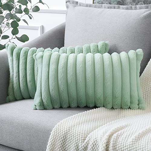 Soleebee 2er Set Plüsch Samt Kissenbezüge, Weiche Künstliche Pelz Dekorativ Kissenbezug Sofa Zierkissenbezüge Dekokissen Kissenhülle Set für Couch Schlafzimmer Zuhause Auto Dekor (30x50cm, Hellgrün)