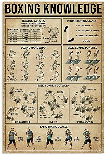 Metall-Blechschild „Boxing Knowledge, Boxing Exercise Basic Infografik-Poster, Kampfsport, Fitnessstudio, Club, Zuhause, Schlafzimmer, Schule, Bildung, Wanddekoration, Plakette, 30,5 x 40,6 cm
