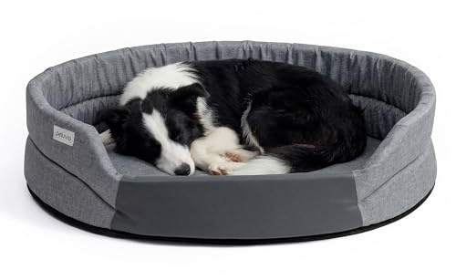 Peluvio Arita Hundebett Wasserabweisend Pflegeleicht rutschfest Niedriger | Einstieg Hundekissen Formstabil mit T18-Schaum Waschbar bis 30°C Für Kleine Ältere Hunde S M L Indoor Outdoor