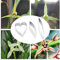 Phalaenopsis Schmetterling Orchidee Ausstecher Silikonform Handgemachte Seife Werkzeug Kuchen Werkzeug Backform Edelstahl Plätzchen Werkzeug (04)