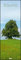 Bäume 2023 - Foto-Kalender - Wand-Kalender - King-Size - 34x98: Trees
