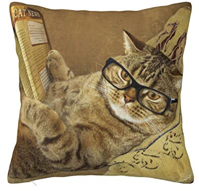 Niedliche Katze zum Lesen der Zeitung, dekorativer quadratischer Kissenbezug, weicher Kissenbezug für Sofa, Couch, Bett, Heimdekoration, 45,7 x 45,7 cm