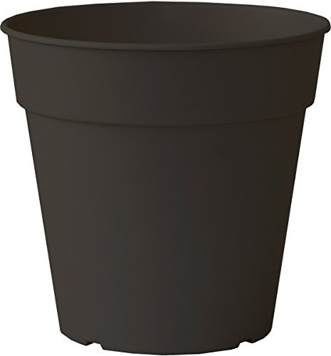 'artevasi Cría olla Madagascar madag. Cría olla 30 cm anthr. 820287