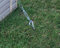 Canopia by Palram Kit D’ancrage Accessoire pour Serre de Jardin