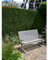 Lebensbaum Thuja Brabant 120-140 cm. Angebot: 10 Heckenpflanzen. Thujahecke