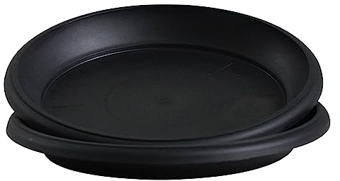 Olly & Rose Lot de 2 grandes soucoupes en plastique noir mat pour plantes et fleurs - 19 cm de diamètre - Pour intérieur et extérieur