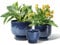 vicrays Keramik-Blumentöpfe für den Innenbereich – 17,8/14,9 cm/10,9 cm Pflanztopf mit Drainageloch und Untersetzer für Sukkulenten, Orchideen, Blumen, Kräuter, Kaktus – Gartenarbeit Zuhause Desktop
