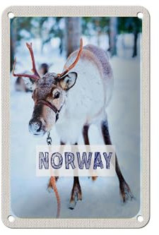 Femer Blechschild Reise 12x18cm Norwegen Hirsch Winterzeit Schnee Schild