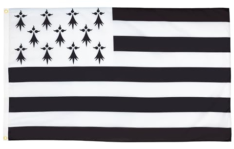 AZ FLAG Lot de 5 Drapeaux Bretagne 90x60 cm Breton Polyester 100D 2 Œillets | Usage intérieur et extérieur Drapeau décoratif coutures doubles et bords renforcés avec œillets métalliques