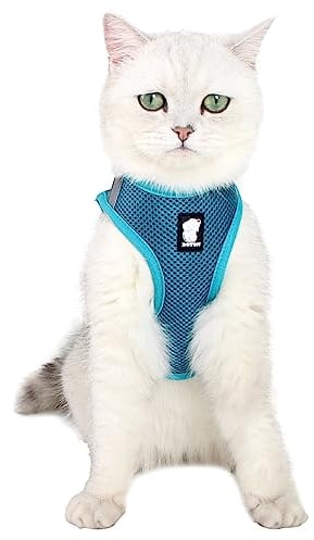 Katzengeschirr und Leine Ultraleicht für Fluchtschutz Verstellbarer weicher Netzschritt in gepolsterter Polsterung Laufweste Jacke für Kätzchen Haustiere Welpe Türkis