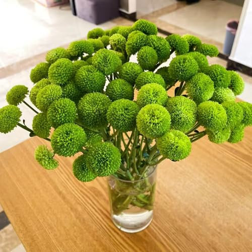 semillas de crisantemo flores de otoño resistentes Serie de plantas raras sala de estar plantas Pompón de crisantemo bonsái prado de flores perennes resistentes 150pcs