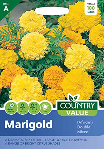 Marigold Seeds African Double Mixed by Country Value Flowers