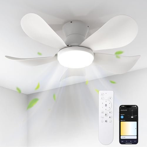 BLITZWILL Ventilateur de Plafond avec Lumière, Ø66cm Ventilateurs de Plafond avec Éclairage LED, Contrôle App&Télécommande, 6 Vitesses, 3 Couleurs Dimmables, 5 Pales, Silencieux, Été-Hiver, Minuterie