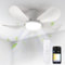 BLITZWILL Ventilatore da Soffitto con Luce, Ø66cm Ventilatori da soffitto con Illuminazione LED, Controllo App&Telecomando, 6 Velocità, 3 Colori Dimmerabile, 5 Pale, Silenzioso, Estate-Inverno,Timer