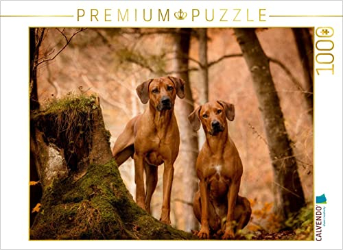 CALVENDO Puzzle EIN Motiv aus dem Kalender Rhodesian Ridgeback - Herzen auf Vier Pfoten | 1000 Teile Lege-Größe 64 x 48 cm Foto-Puzzle für glückliche Stunden